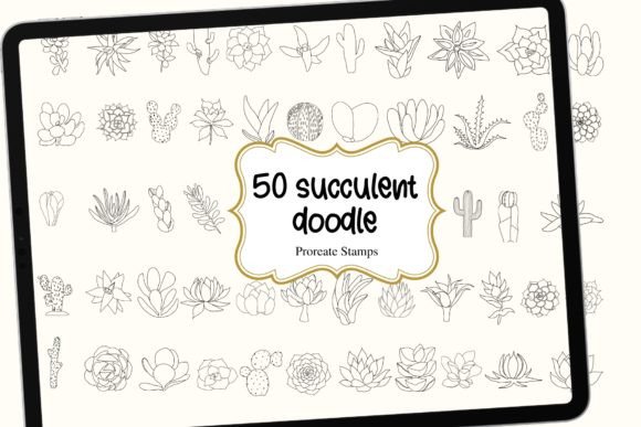 50 Succulent Sketch Procreate Stamps for Digital Art
